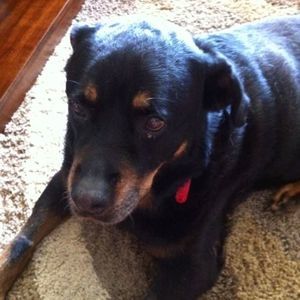 Meet your Posher, Tami